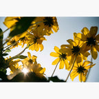 Kodak Kodacolor 100 - 35mm