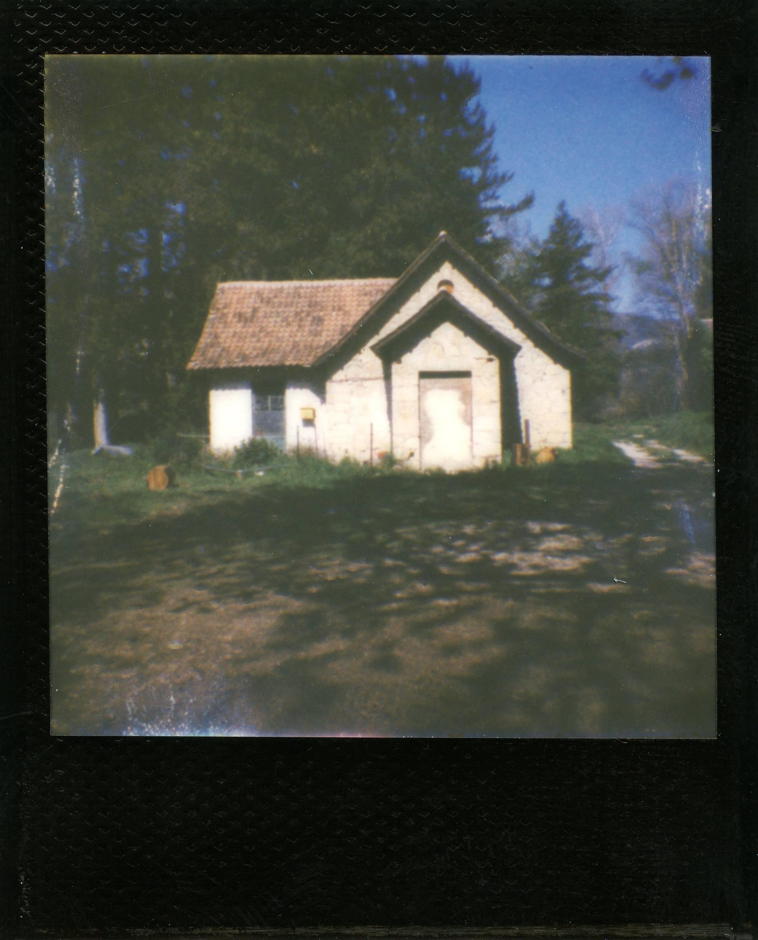 Polaroid Go Generation 3 - Бял