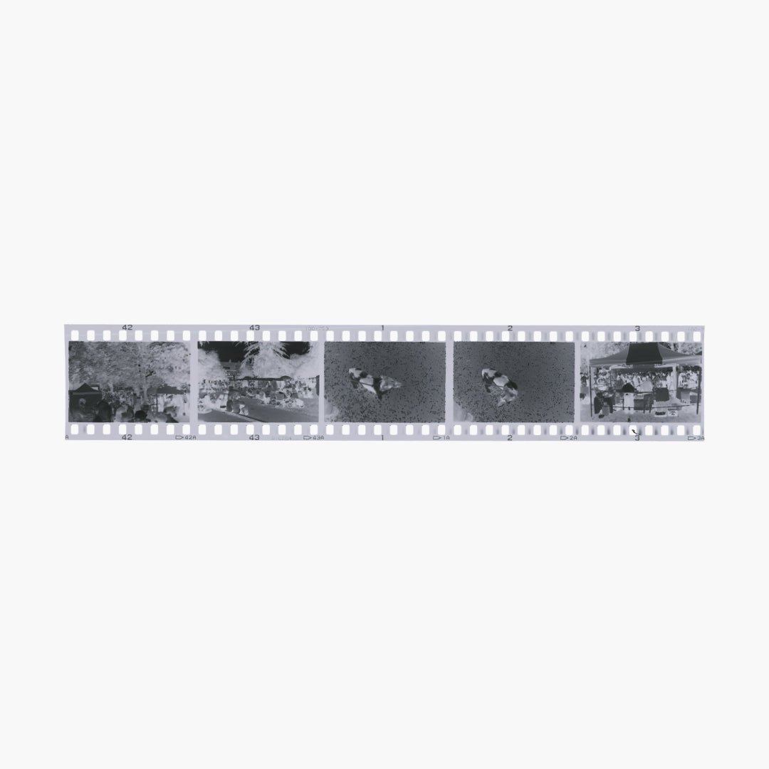 Black & White Film Developing Service - Balkan Film Lab