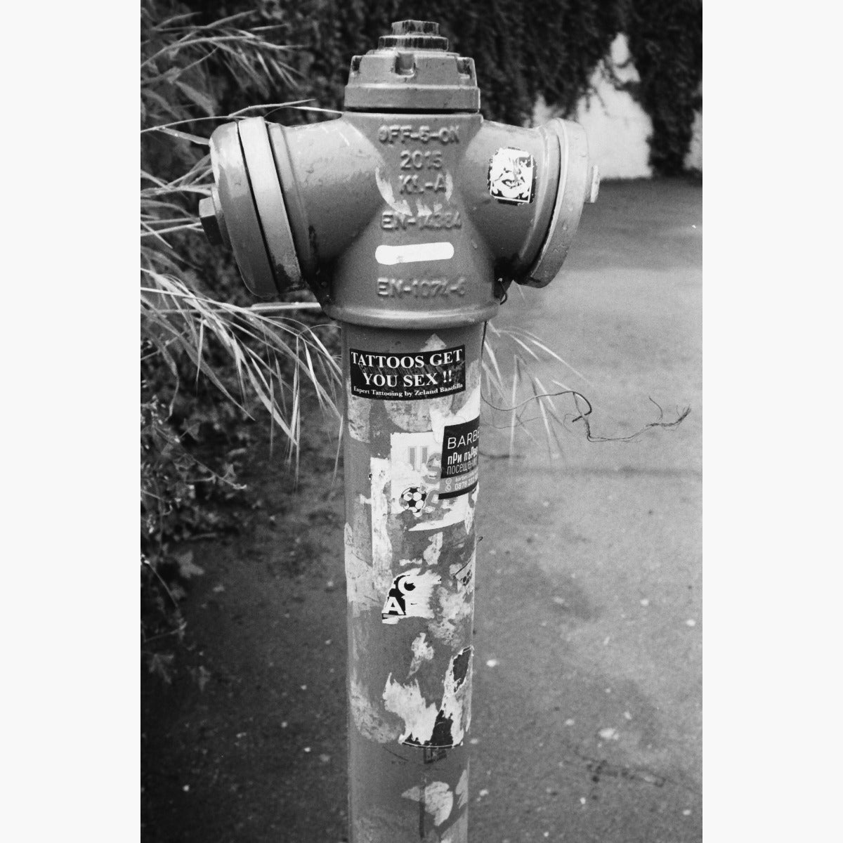 fire hydrant - photographic sample from Black & White Film Developing service
