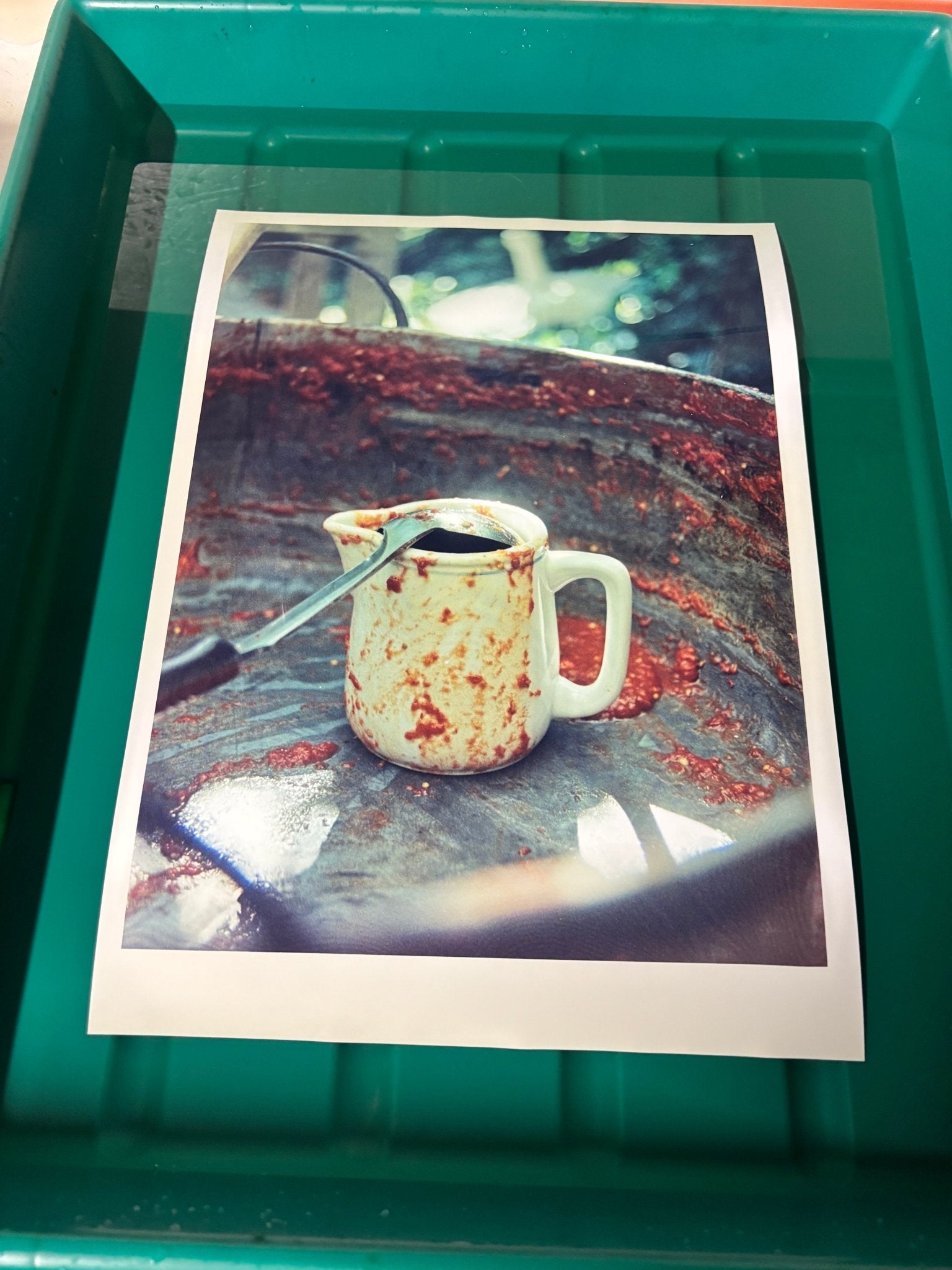 Close up of a Colour (RA4) Print - Balkan Film Lab    