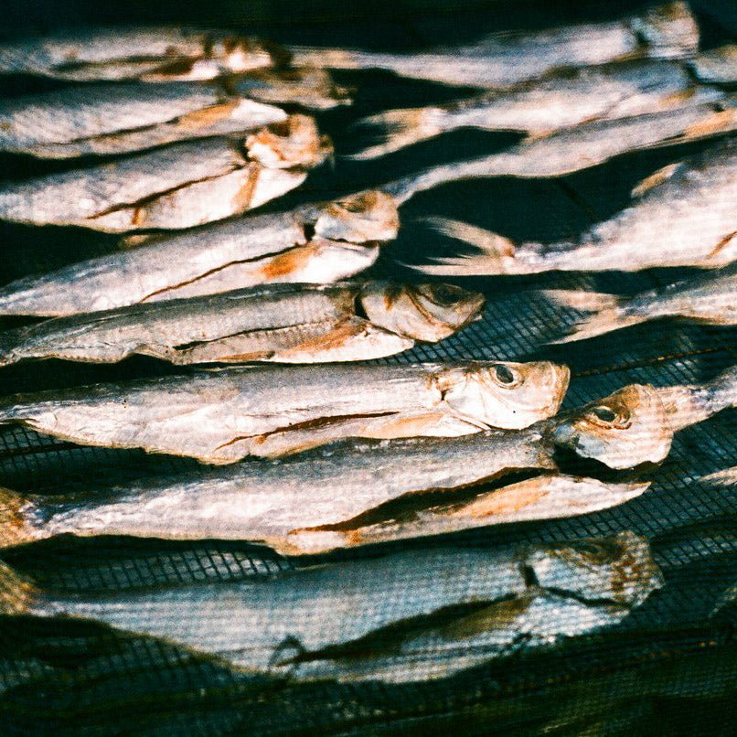 fish drying on a rack - Harman Phoenix 200 ISO medium format colour negative film example image