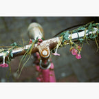 bike handlebars with flowers - Kodak Gold 200 ISO 35mm colour negative film example image