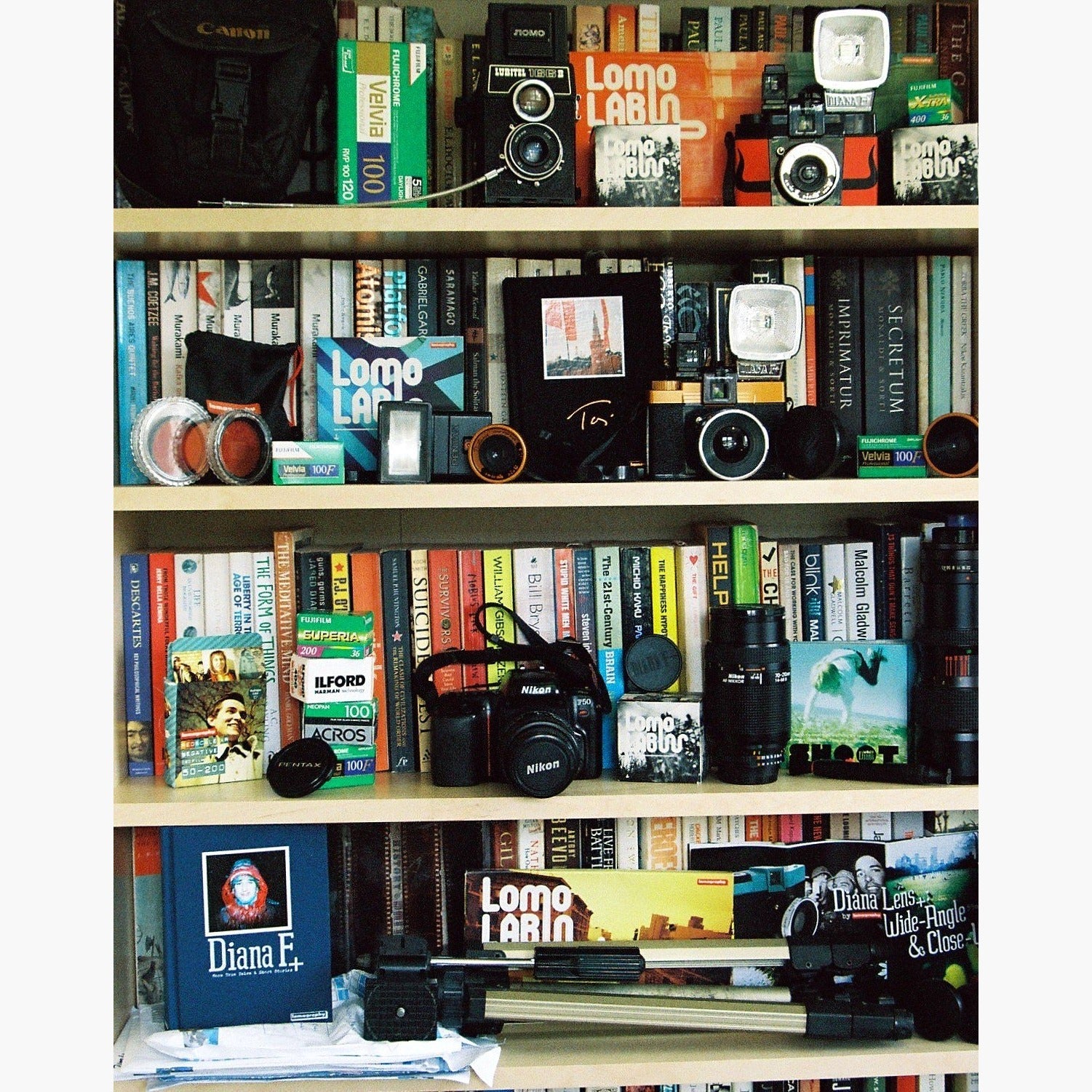 bookshelf with cameras - Kodak UltraMax 400 ISO 35mm colour negative film example image