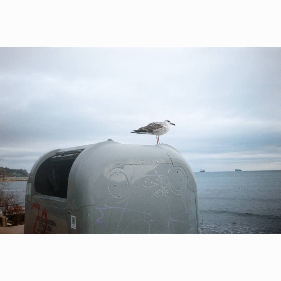 Revue Colourflash 35мм - Ready-To-Shoot Kit