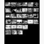 Дигитален контактен лист