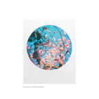 Polaroid Color 600 - Round frame