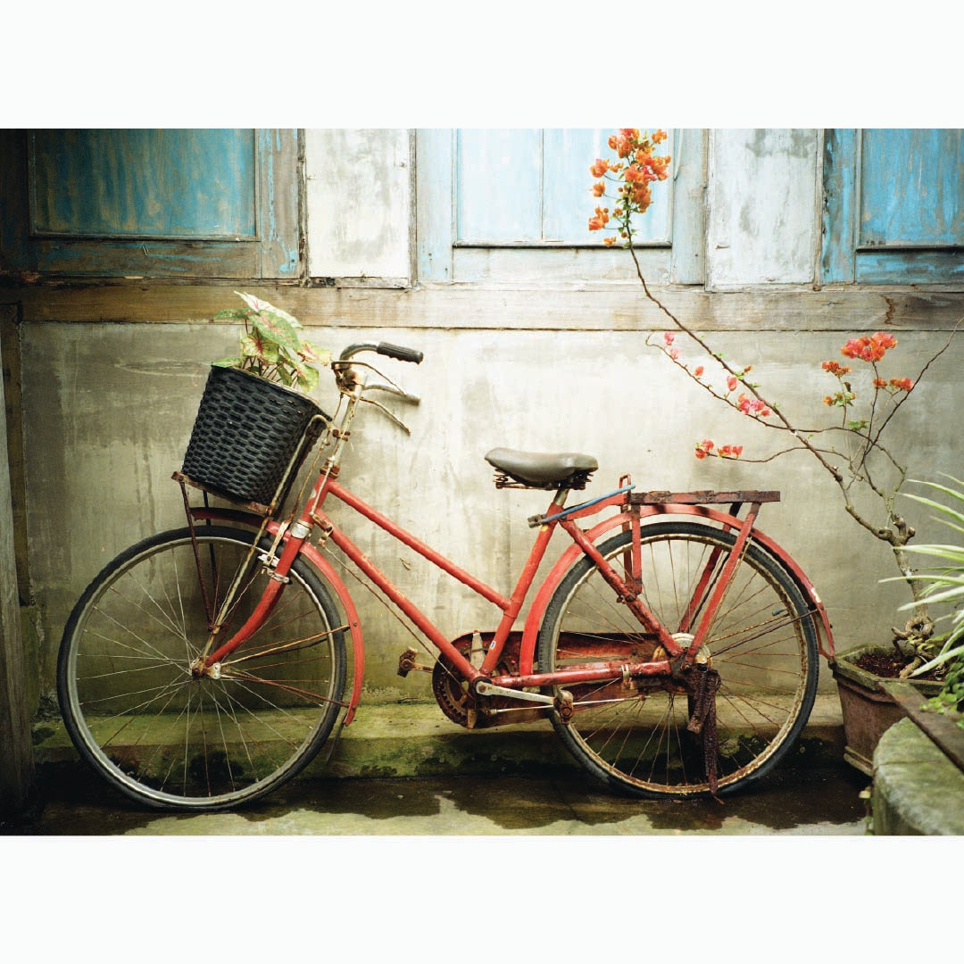 Kodak Gold 200 - 120