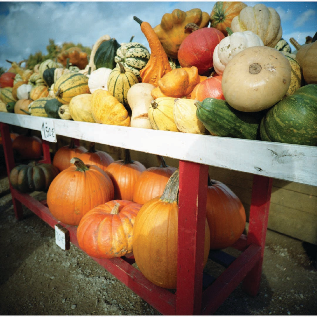 Kodak Gold 200 - 120